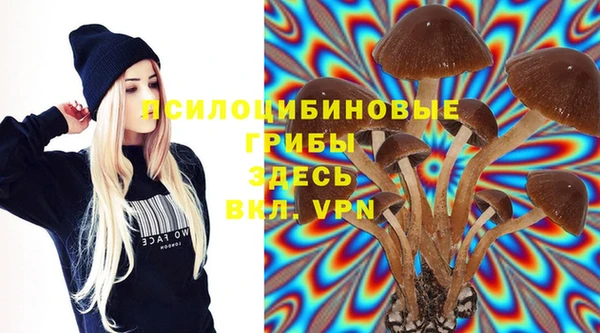шишки Алексеевка