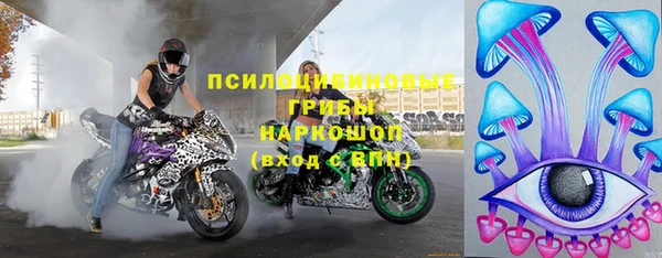 шишки Алексеевка