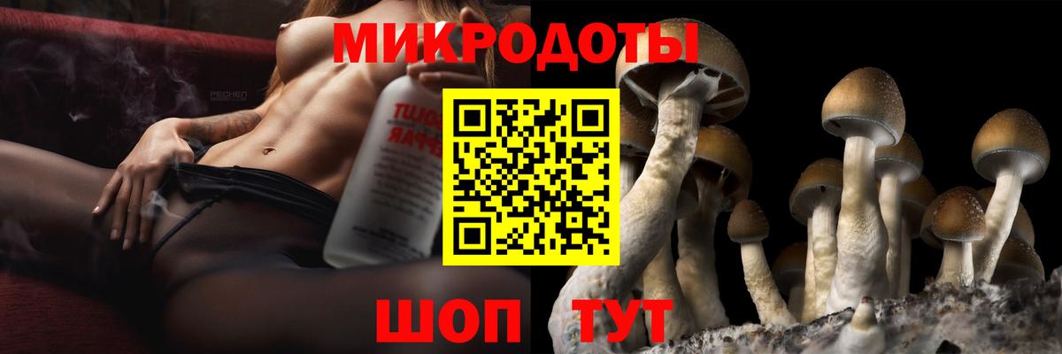 купить наркотик  Галлюциногенные грибы GOLDEN TEACHER  Вход с VPN  Тосно 