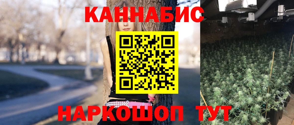 Бошки марихуана Bruce Banner Тосно